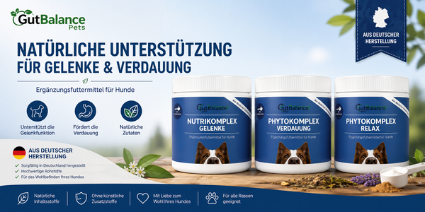 Warum die Zutatenliste deines Hundefutters wichtiger ist als dein Social-Media-Feed 2026