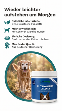 Nutrikomplex Gelenke – Die Kraft der Natur trifft auf moderne Wissenschaft.