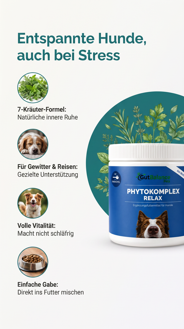 Phytokomplex Relax: Natürliche Gelassenheit für Hunde