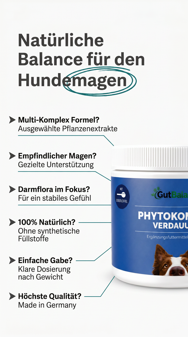 Phytokomplex Verdauung: Natürliche Kraft für den Hundemagen