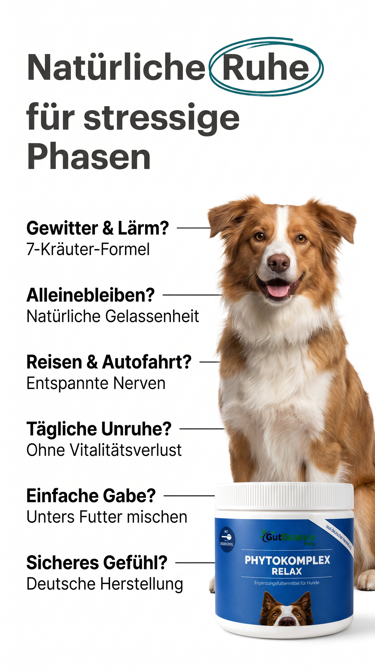 Phytokomplex Relax: Natürliche Gelassenheit für Hunde