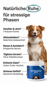 Phytokomplex Relax: Natürliche Gelassenheit für Hunde
