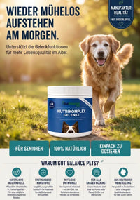 Nutrikomplex Gelenke – Die Kraft der Natur trifft auf moderne Wissenschaft.
