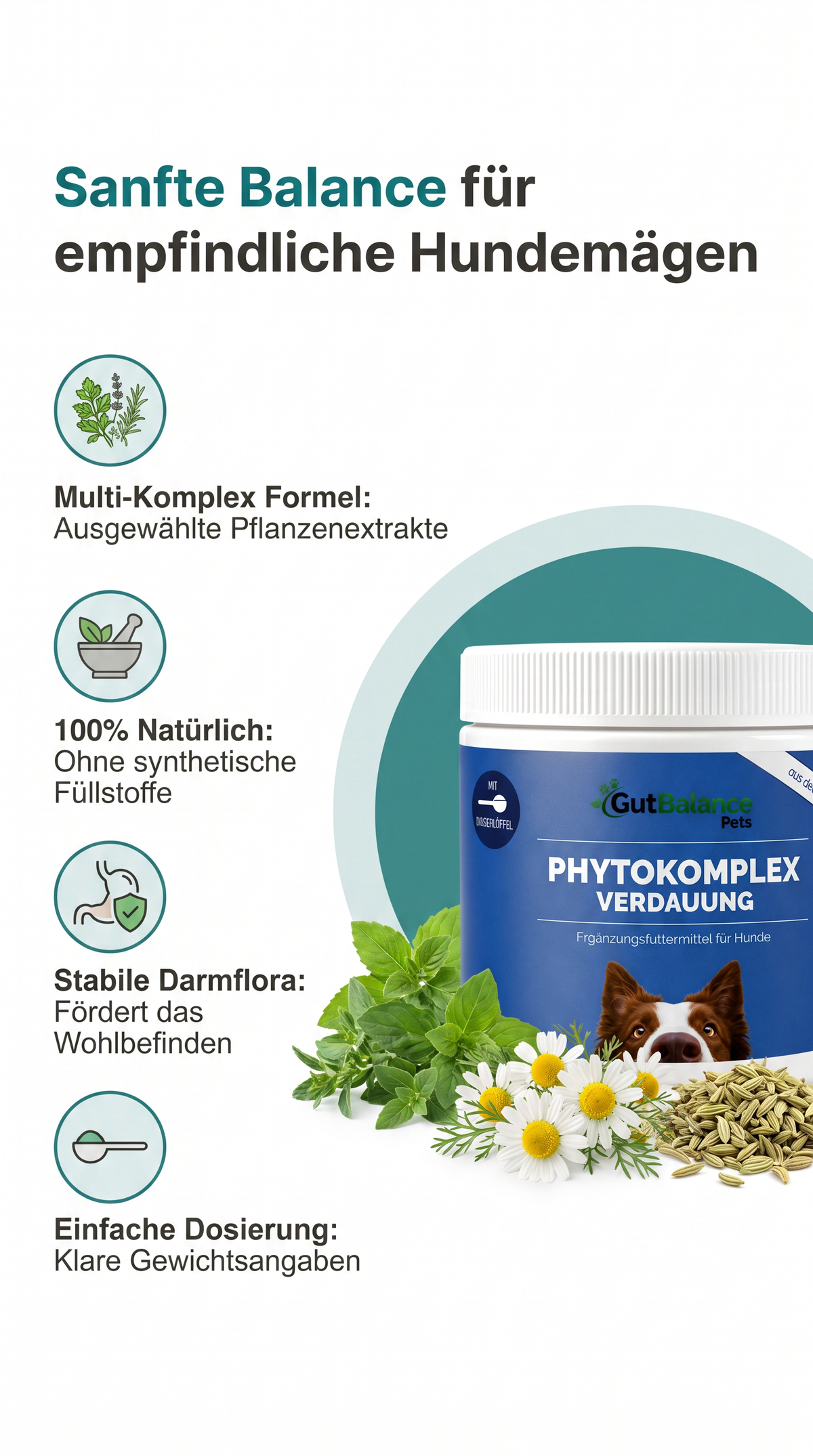 Phytokomplex Verdauung: Natürliche Kraft für den Hundemagen