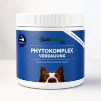 Phytokomplex Verdauung: Natürliche Kraft für den Hundemagen